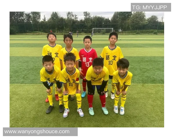 上海足球队的崛起与挑战解析探讨其在中国足球中的影响力与未来发展 上海足球队的崛起与挑战解析探讨其在中国足球中的影响力与未来发展