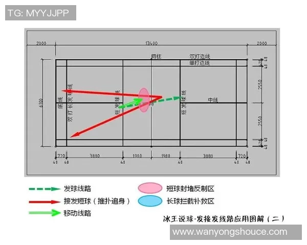 南京羽毛球队的战术解析与转换体系探讨