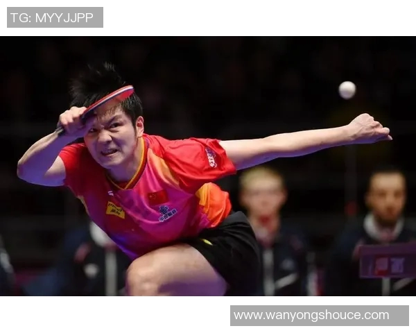 南京乒乓球队的节奏与激情探索乒乓球运动的魅力与发展