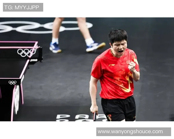 乒乓球纪实：见证北京乒乓球队在新时代的蜕变与发展历程