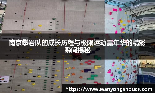 南京攀岩队的成长历程与极限运动嘉年华的精彩瞬间揭秘